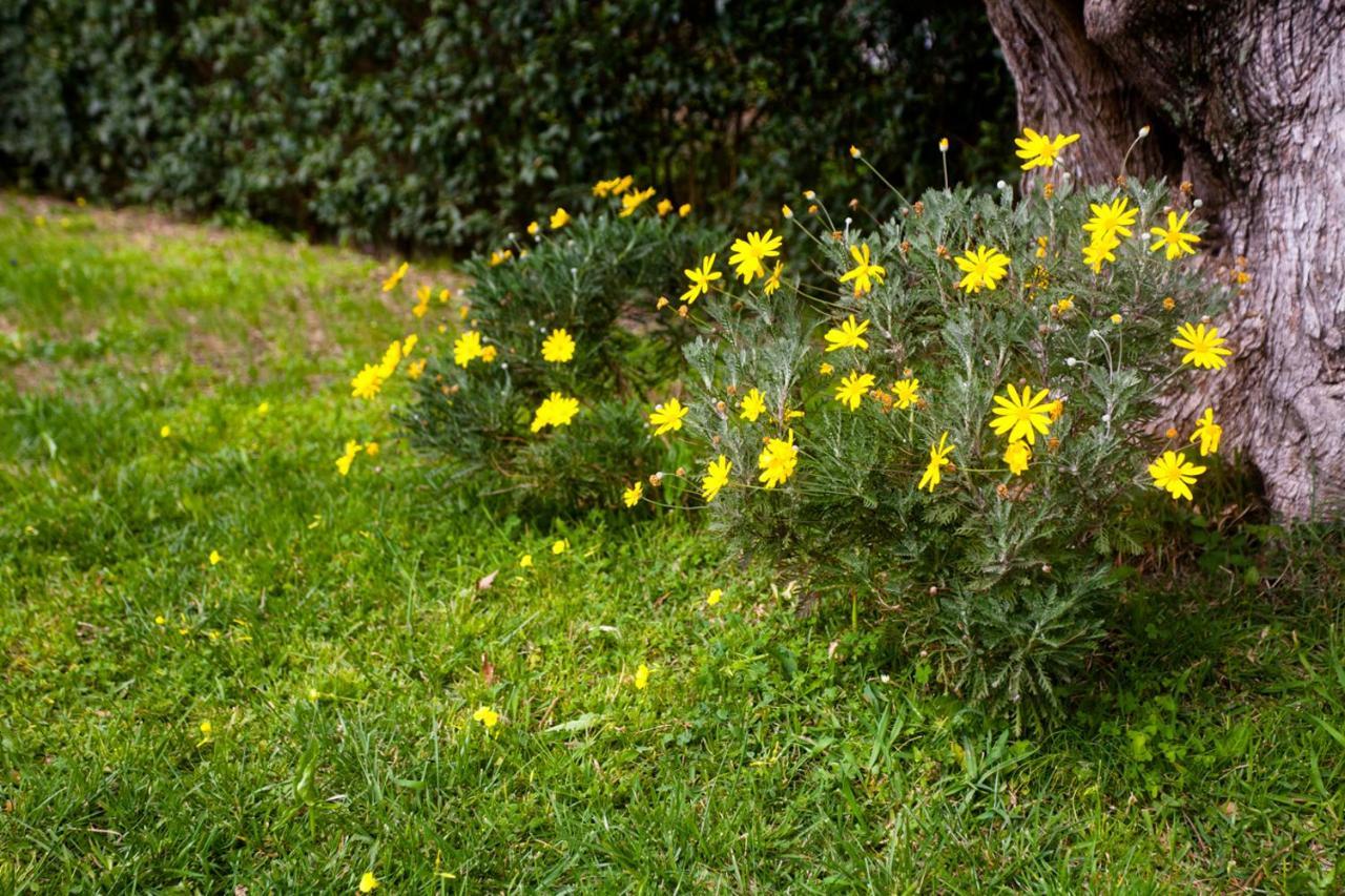 La Casa Di Caterina: Nature,Relax And Private Garden Lefkada City Exterior photo