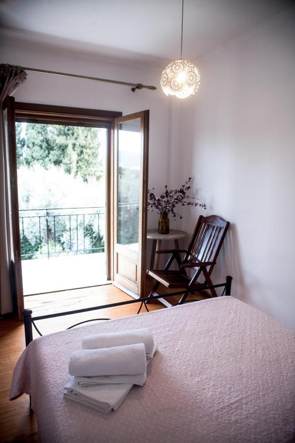 La Casa Di Caterina: Nature,Relax And Private Garden Lefkada City Exterior photo